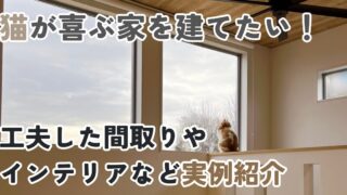 猫と暮らす家を建てる！注文住宅でこだわったポイントやインテリアを紹介。