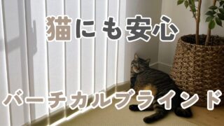 安全第一！「猫のカーテン登り対策」で縦型ブラインドに変えてみた結果。