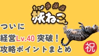 ついに経営レベル40到達！「旅ねこ」アプリ攻略のポイントについて解説